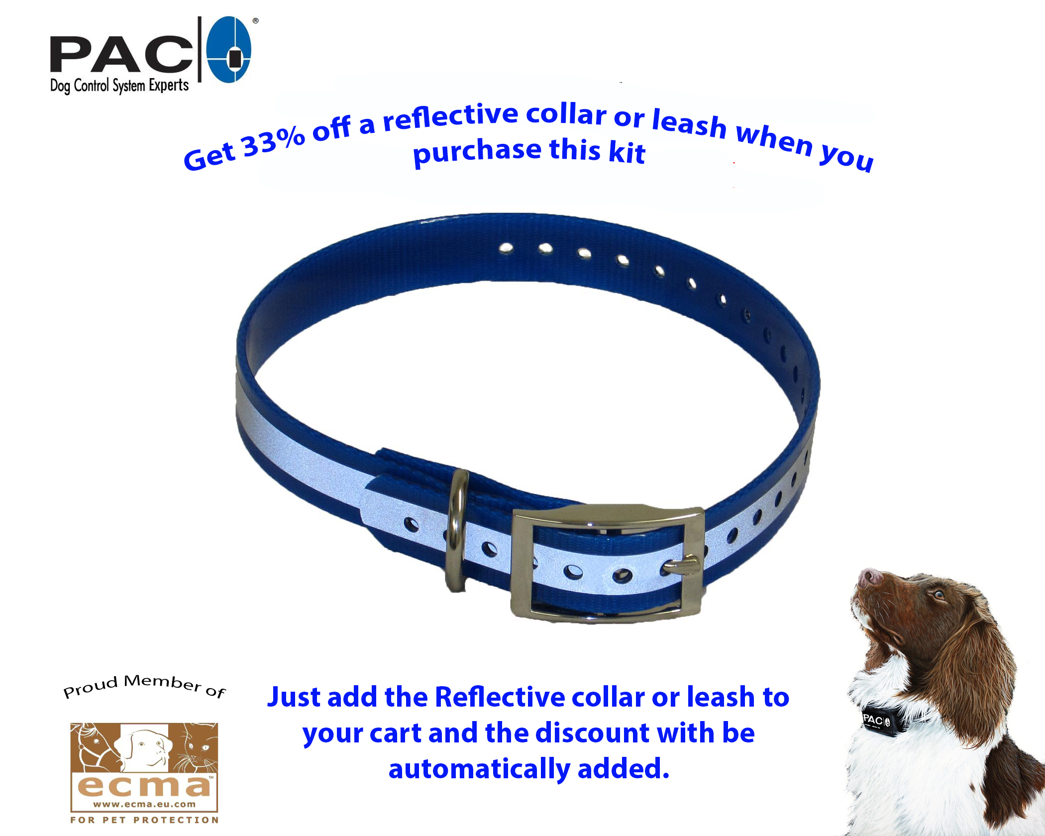 Reflective Collar and Leash - special offer